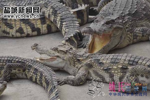 001d7d55ed510d2774cc45.jpg