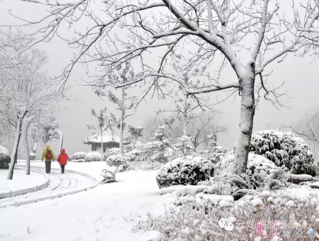 05.jpg