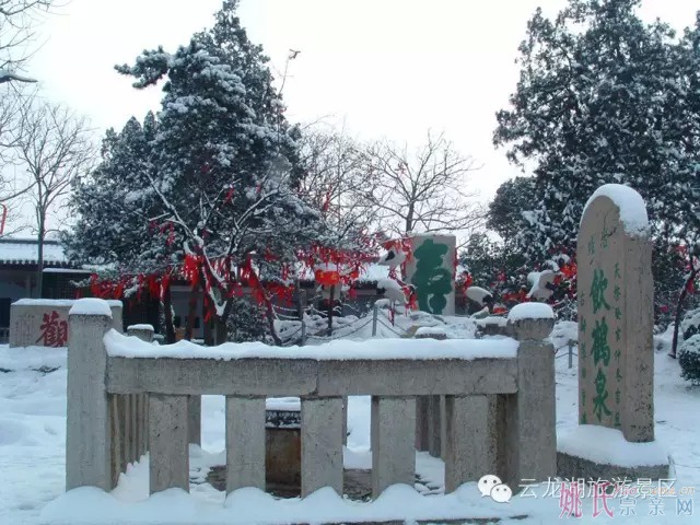 07.jpg