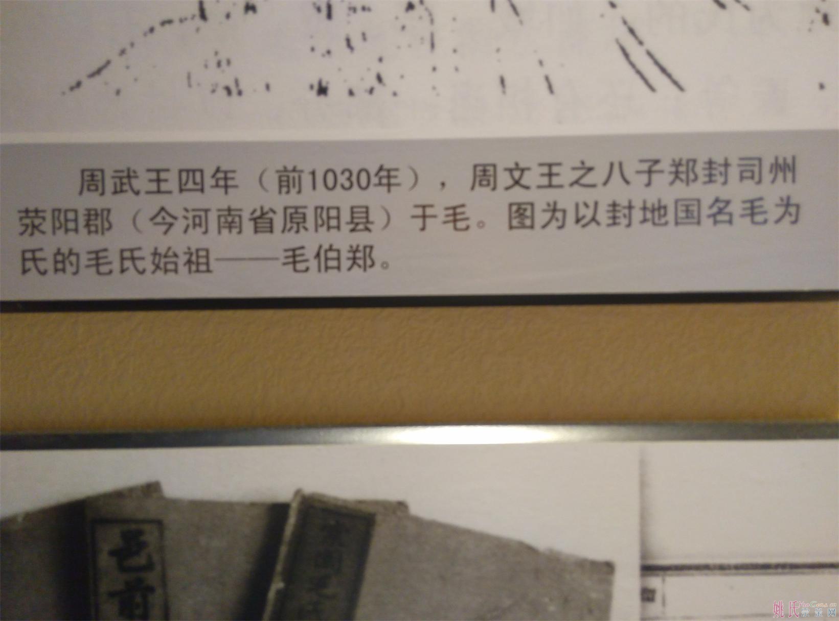 毛谱.jpg