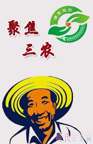 请姚网宗亲充分重视中共中央国务院“三农”工作意见，推动乡村振兴