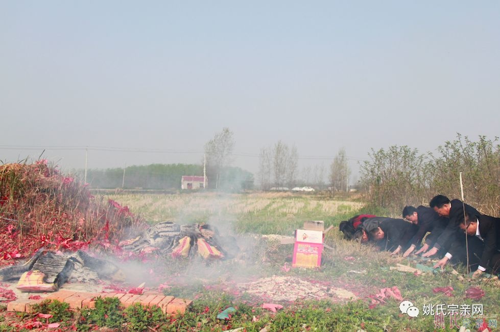 清明时节，游子兼程