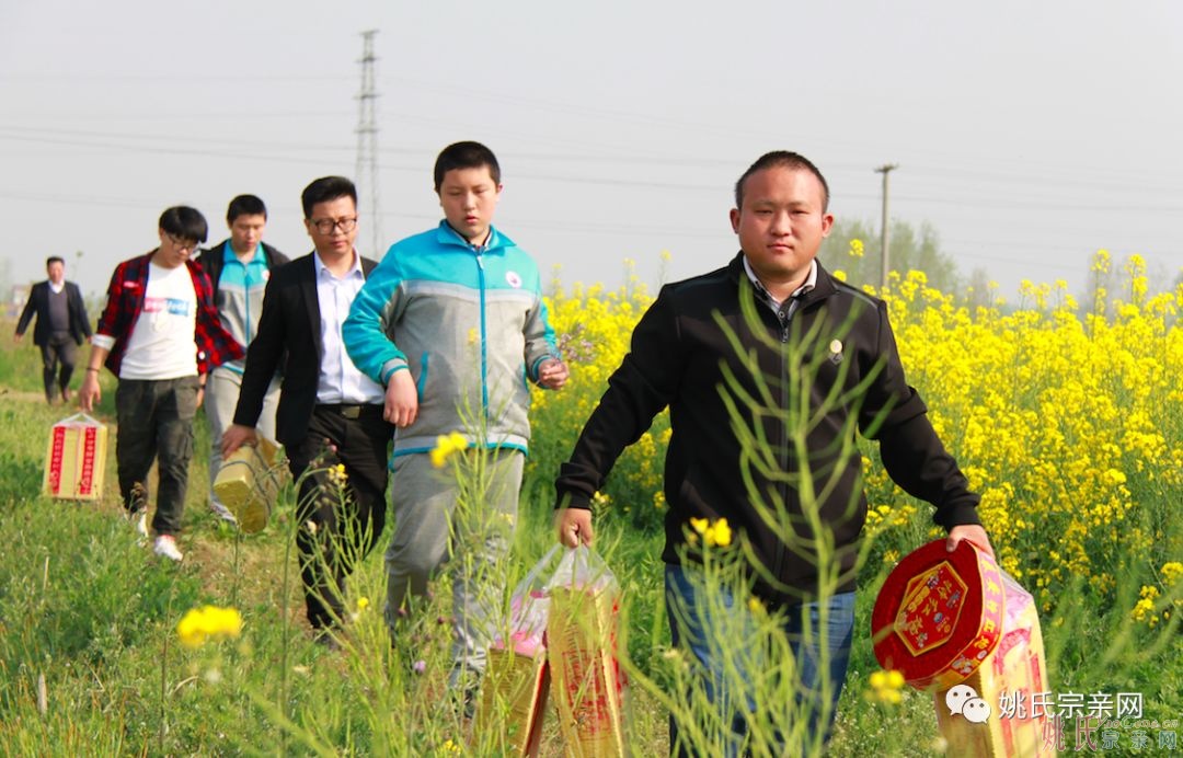 清明时节，游子兼程